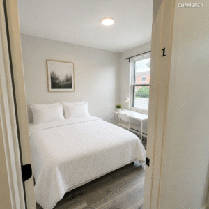 Chambre -1 - 2300 Rue Bélanger, Montréal, QC H2G 1C8