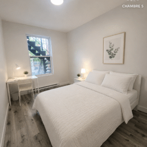 Chambre -5 - 2300 Rue Bélanger, Montréal, QC H2G 1C8
